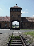 Auchwitz 48